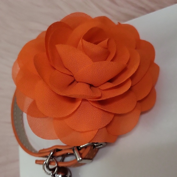 New Listing!! Brand New FLORAL ATTACHMENT FASHION PET COLLAR-2 CT. - Picture 4 of 5